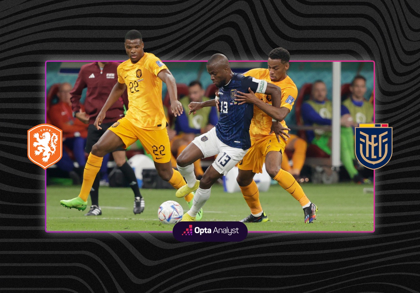 Netherlands 1-1 Ecuador: Gakpo Strikes, but Ecuador Striking