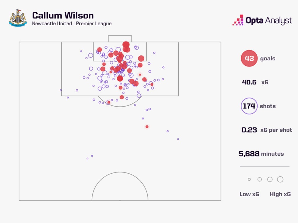 Callum Wilson Newcastle goals