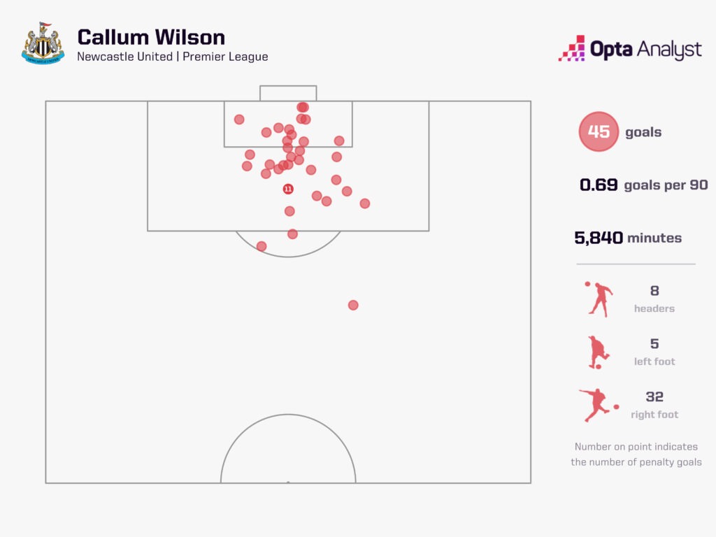 Callum Wilson Newcastle PL Goals