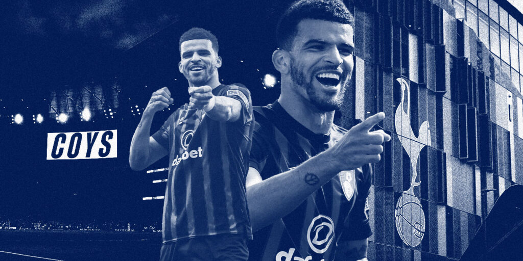 Dominic Solanke to Tottenham